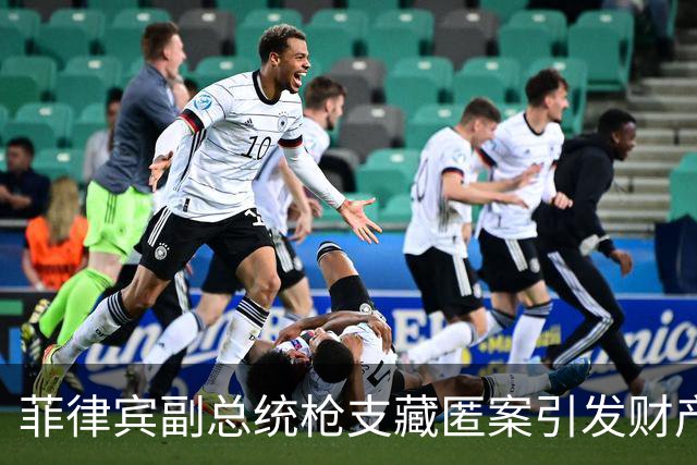 菲律宾副总统枪支藏匿案引发财产申报争议